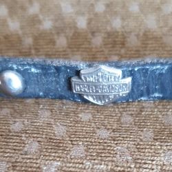 Small Harley Dog Collar