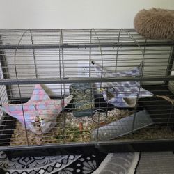Extra Large Cage With Sleeping Hamocs,playpen And Toys And Accessories,  Food And Other Supplies For 2 Guinea Pigs