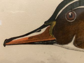 Dan Mitra Etching Art