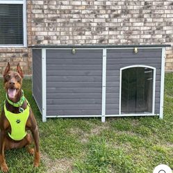 Outdoor Dog House 59" Extra Large Insulated Dog Kennel