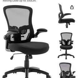 Chairelax Mesh Home Office Chair + Lumbar Support Pillow