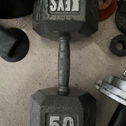 50 lbs Dumbbell  Weights 