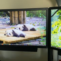 Home Office Setup Dual-Monitor Docking Station Dual Monitor Mount Speaker Free Keyboard