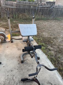 Body champ Weight bench