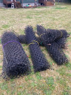 Chain Link Fencing