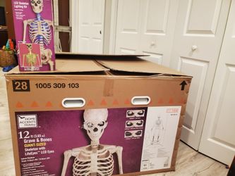 12' Skeleton With Chest Light