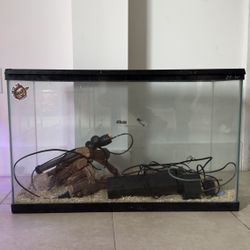 Fish Tank Reptile Terrarium 