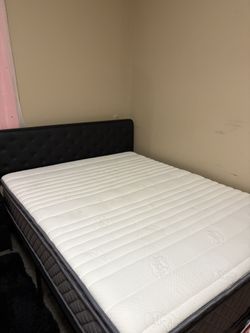 Mattress And Box Spring