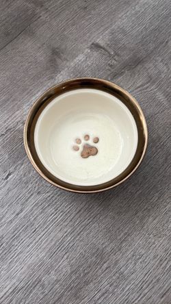 Glass Pet Bowl