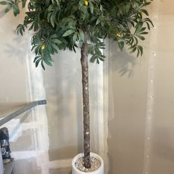 Decorative Fake Plant 