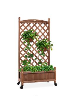 Wood Planter Box & Lattice Trellis w/ Drainage, Optional Wheels