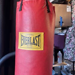 Everlast Punching Bag