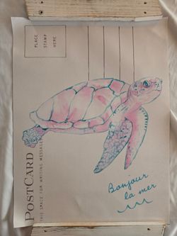 Sea Turtle Postcard Print on Canvas