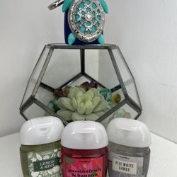 Scented Hand Sanitizers & Silicone Holder