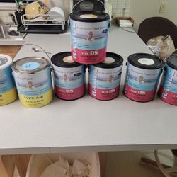 Ramuc Premium Epoxy And Pool Paint 