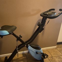 Lanos Exercise Bike