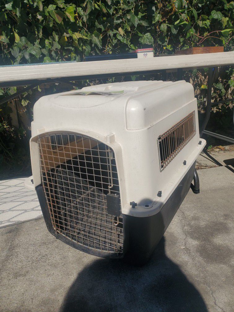 Scheiden houding Socialisme Petco Premium Kennel for Sale in Ventura, CA - OfferUp