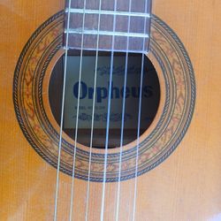 Orpheus Vintage Acoustic Guitar 
