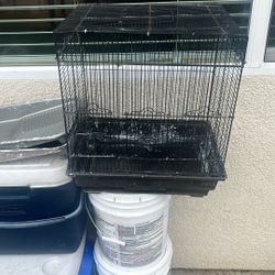 Bird Cage $10.00