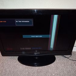 Free Tv 31"  Could Use As A Computer Monitor 