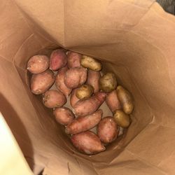 Free Veggies + Some Canned