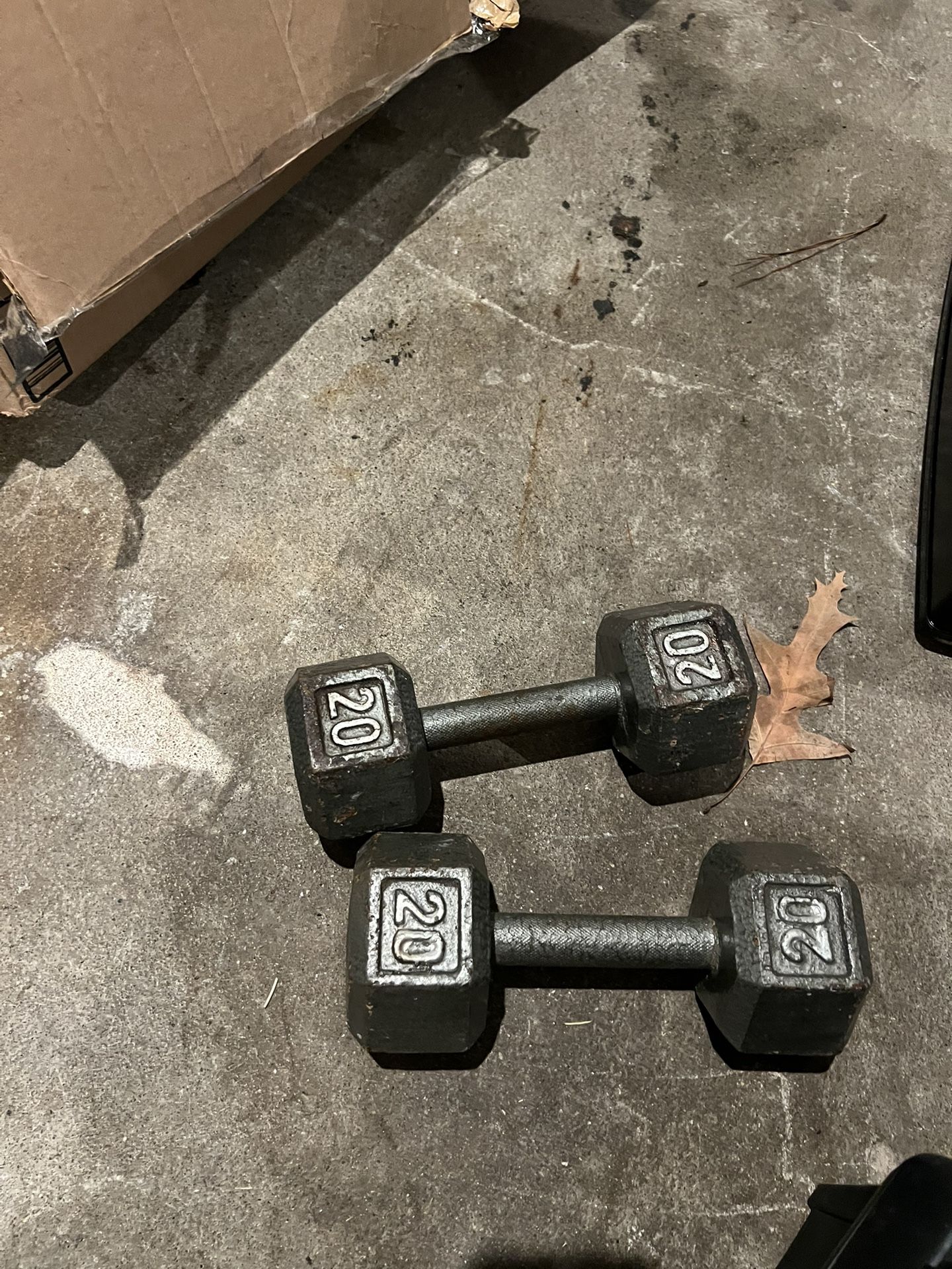 20 Lbs Weights