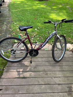 Adult Bike