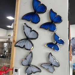 Set de mariposas en acrílico