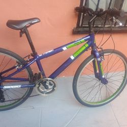 Diamondback Insight 24 kids' hybrid bike 