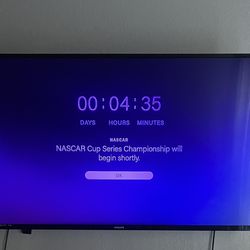 Phillips Flatscreen  Tv 