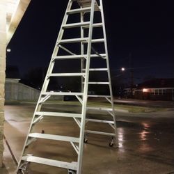 12 Ft Twinstep Ladder
