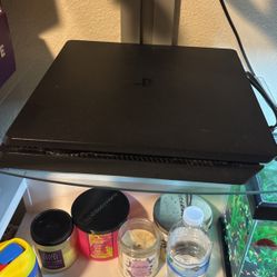 PS4 System 