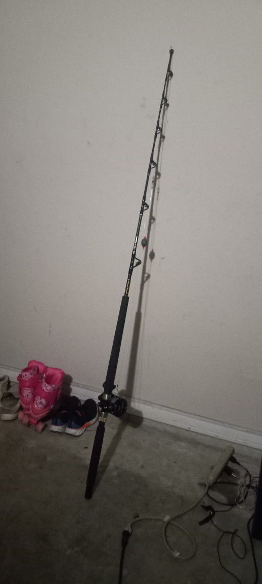 Shimano Fishing Rod, Avet Fishing Reel 