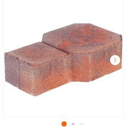 Paver Bricks Cheap  .50¢ Each