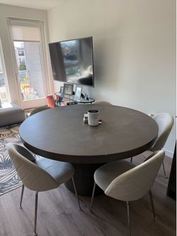 Suede Dining Chair Set of 5