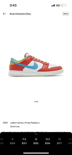 Nike Dunks Lebron James X Fruity Pebbles