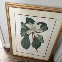 24 x26 Magnolia Vintage Gold Framed magnolia picture rand hort chelf Art Gallery Wall Print