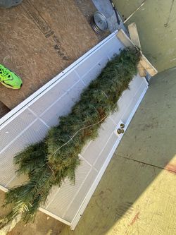 Christmas Tree Real Tree For Sale 80 Inch High, Árbol Navideño Natural 80 Pulgadas De Altura