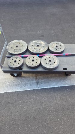 Weight Plates and bar  100lbs