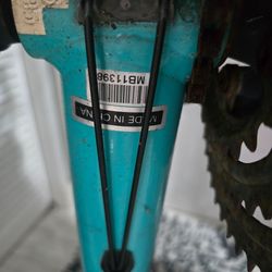Cannondale Bicycle –