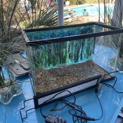 10 Gal Aquarium 