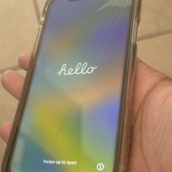 iPhone X