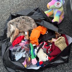 Small Dog Clothes Costumes And Toys. Whole Bag 
