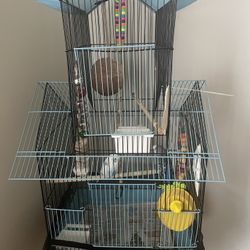 Cage Birds 