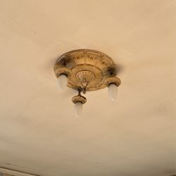 Vintage Light Fixture