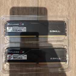 32gb DDR5 Ram
