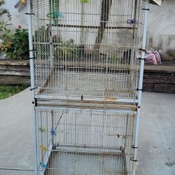 Bird Cage 🐦 