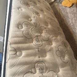  Brand new Twin sized bed