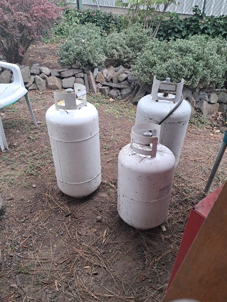 Free To Good Home