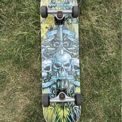 Skateboard, Tony Hawk